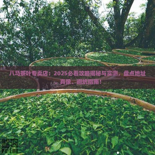 八马茶叶专卖店
