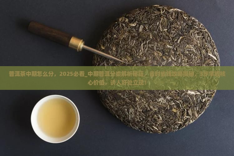 普洱茶中期怎么分