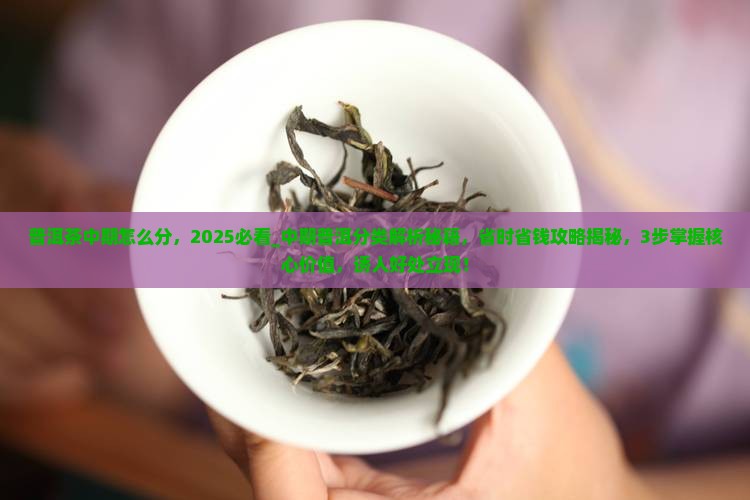 普洱茶中期怎么分