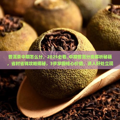 普洱茶中期怎么分