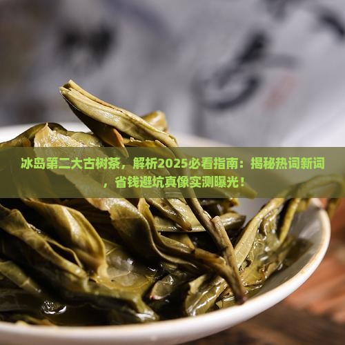 冰岛第二大古树茶