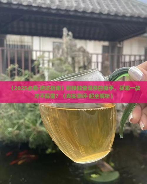 刚接触普洱茶买哪款好些