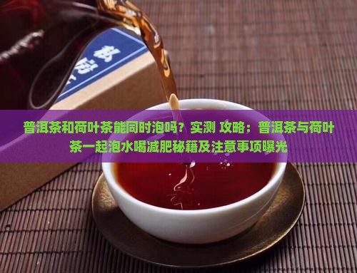 普洱茶和荷叶茶能同时泡吗