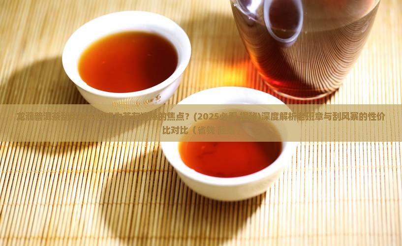 龙润普洱茶刮风寨