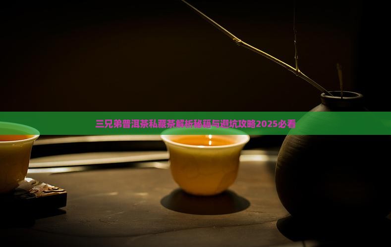 三兄弟普洱茶私藏茶