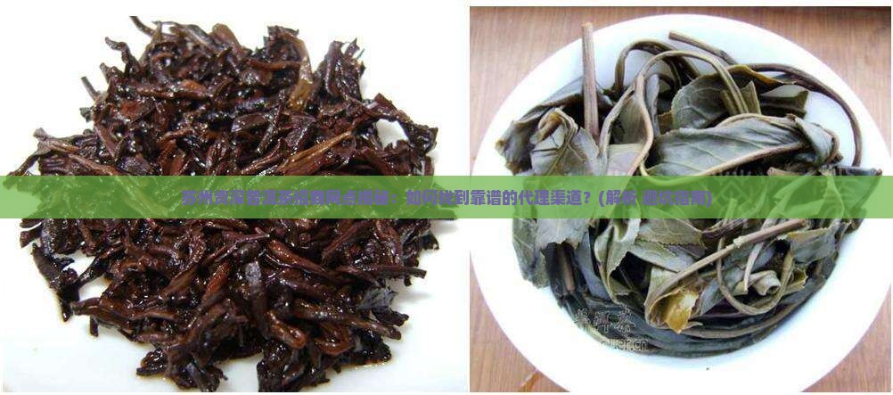 苏州资深普洱茶招商网点