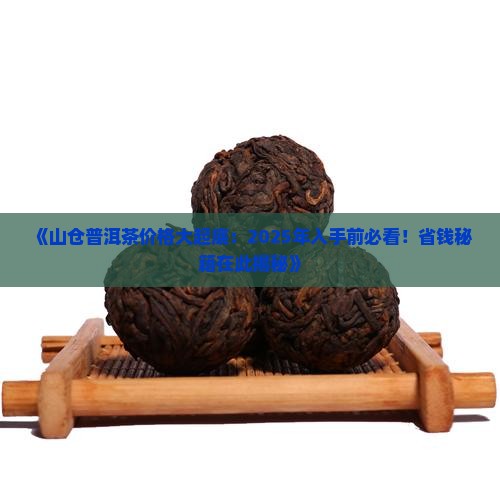山仓普洱茶价格