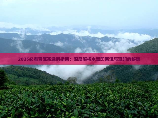 02水蓝印普洱茶
