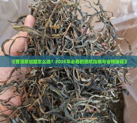 普洱茶加盟手册