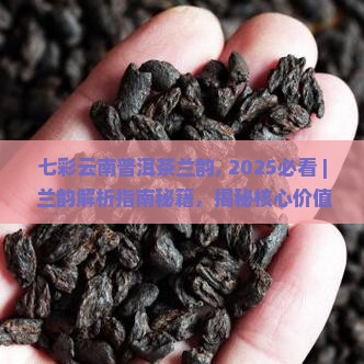 七彩云南普洱茶兰韵