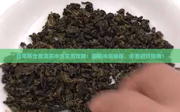 百年陈仓普洱茶冲泡