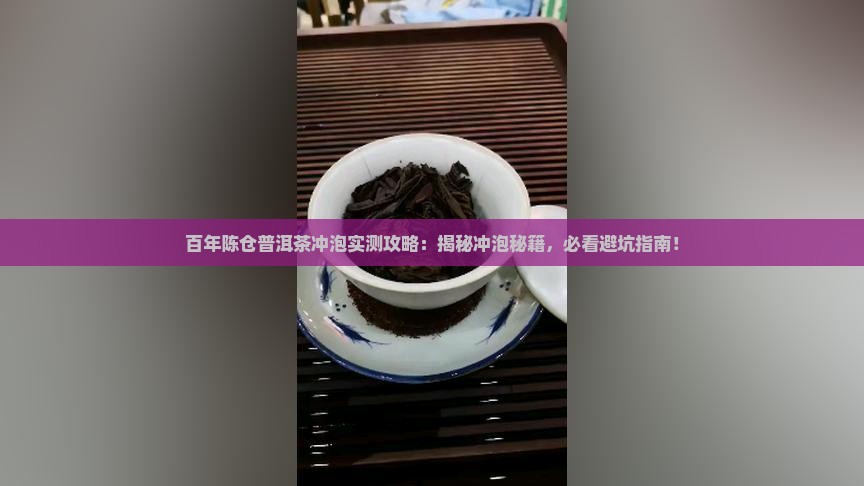 百年陈仓普洱茶冲泡