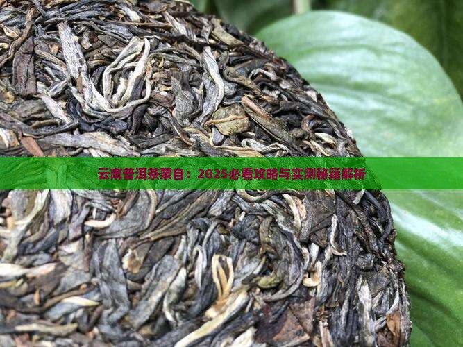 云南普洱茶蒙自