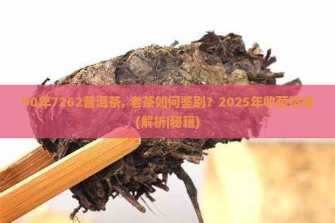 90年7262普洱茶