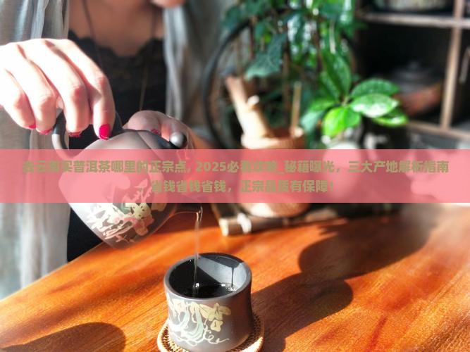 去云南买普洱茶哪里的正宗点