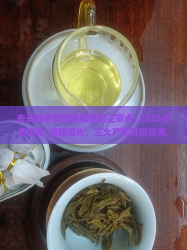 去云南买普洱茶哪里的正宗点