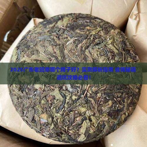 广东老班章哪个牌子好