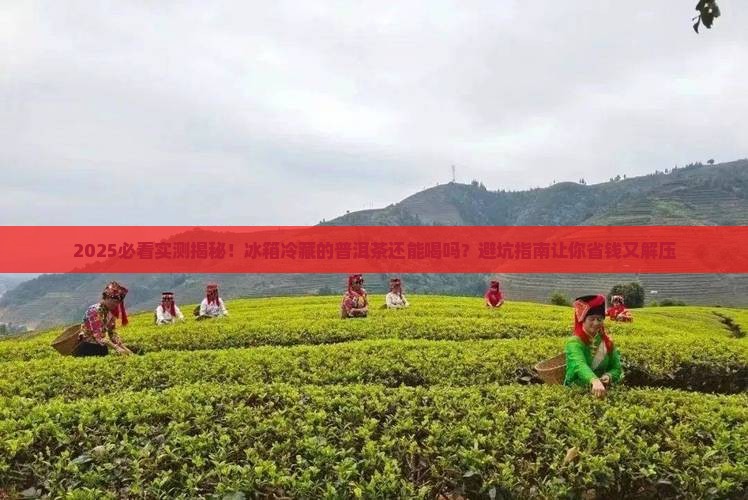 普洱茶放冰箱冷藏还能喝吗