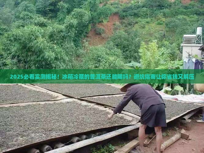 普洱茶放冰箱冷藏还能喝吗