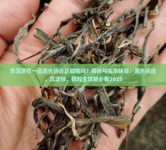 普洱茶有一层黑色锈迹
