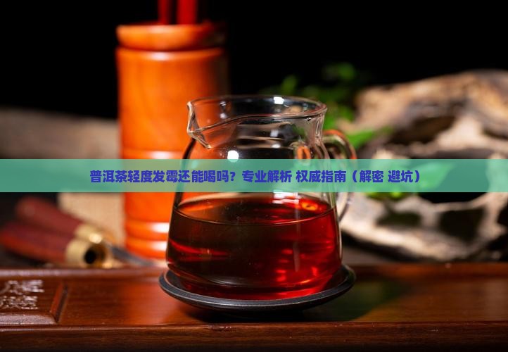 普洱茶轻度霉点 普洱茶轻度霉点