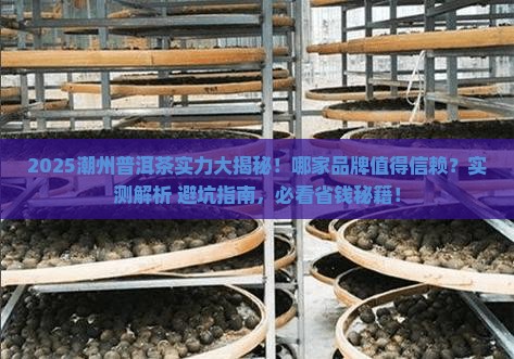 潮州普洱茶哪家比较有实力