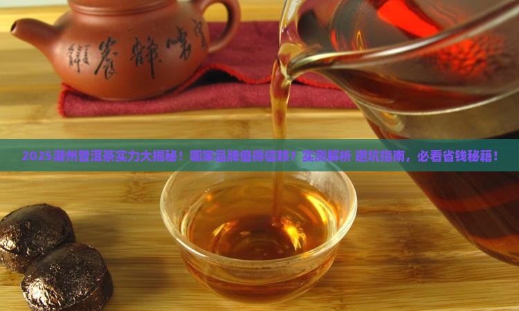 潮州普洱茶哪家比较有实力