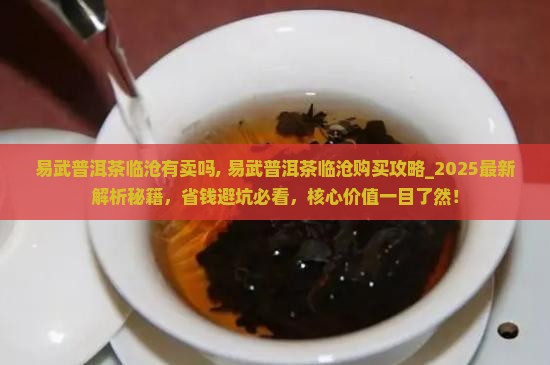 易武普洱茶临沧有卖吗