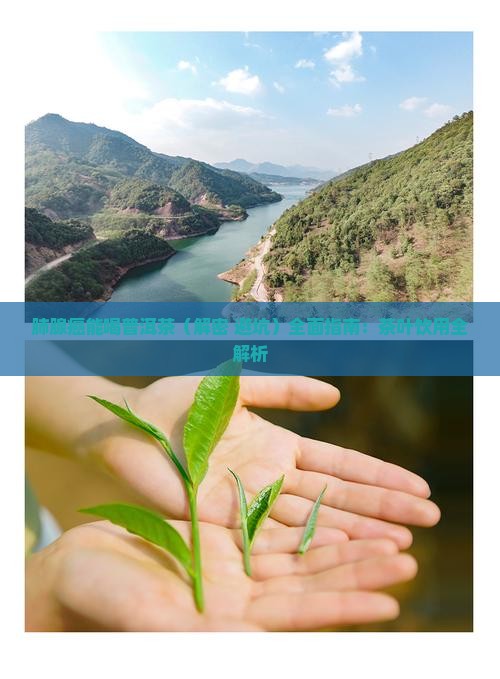 肺腺癌能喝普洱茶