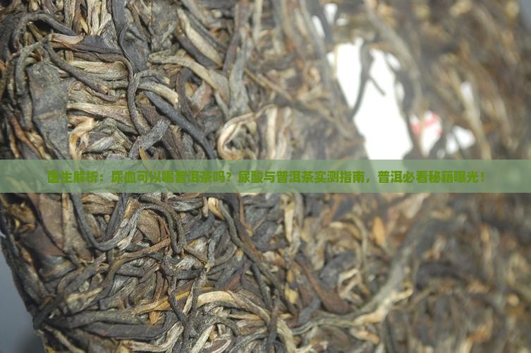 尿血可以喝普洱茶吗