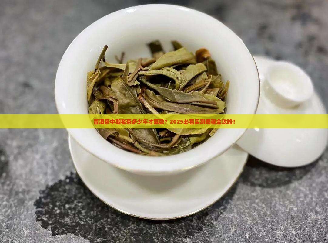 普洱茶中期老茶是多少年