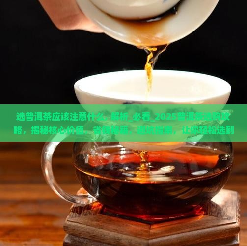 选普洱茶应该注意什么