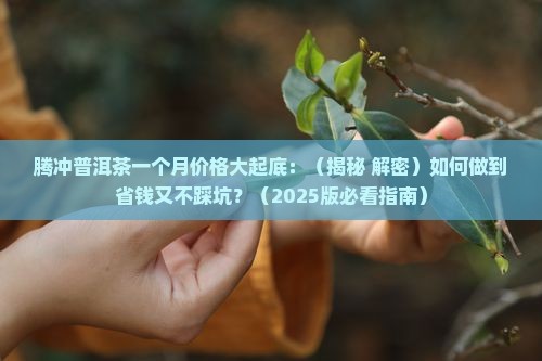 腾冲普洱茶一个月的价格