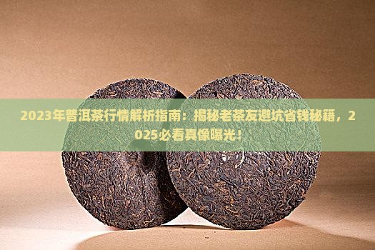 2023年普洱茶的行情
