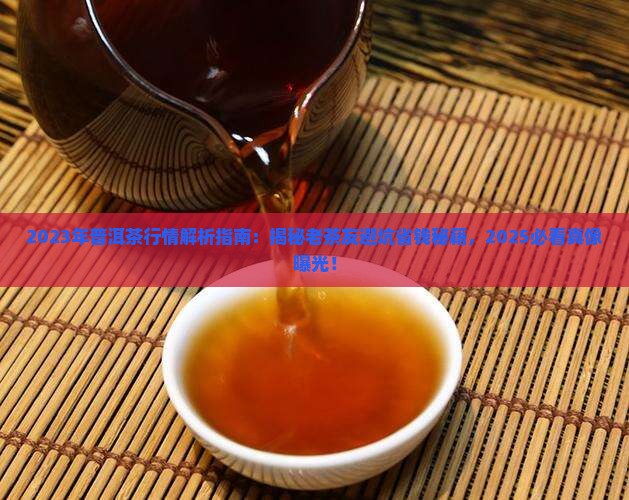 2023年普洱茶的行情