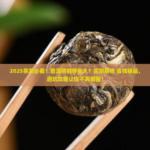普洱茶可以存多少