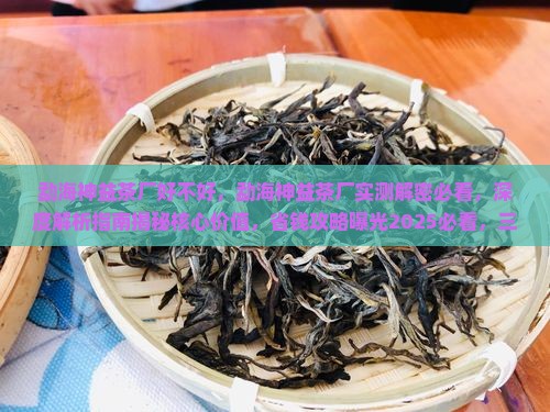 勐海神益茶厂好不好
