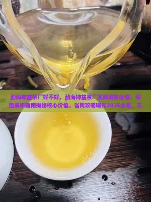 勐海神益茶厂好不好