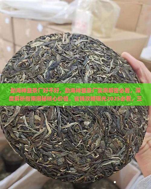 勐海神益茶厂好不好