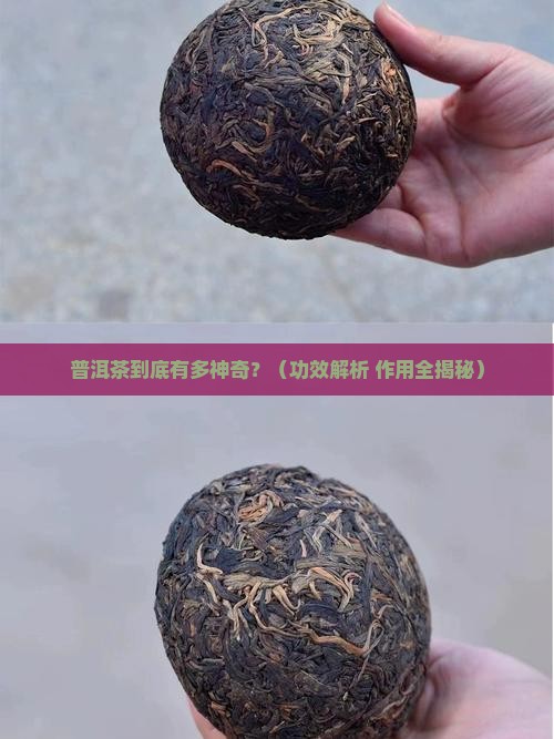 普洱茶之功效与作用