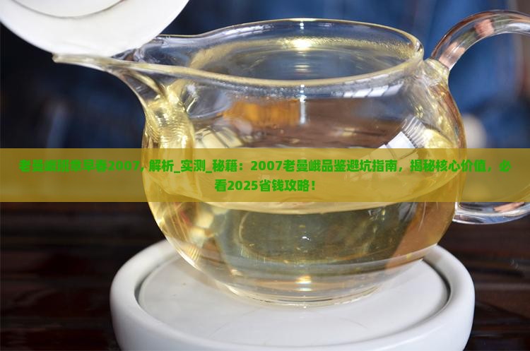 老曼峨班章早春2007