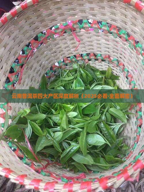 云南普洱茶产地介绍