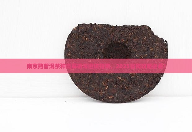 南京熟普洱茶种类