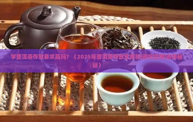 学普洱茶存放要求高吗
