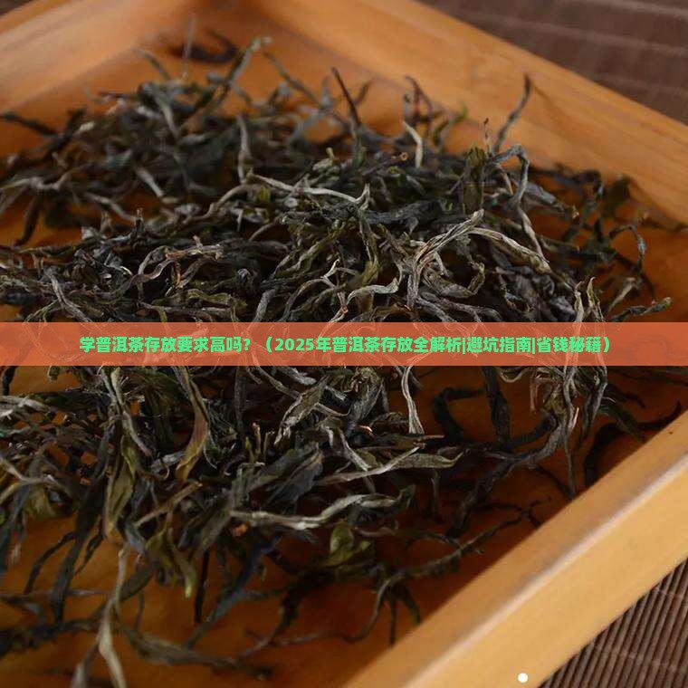 学普洱茶存放要求高吗