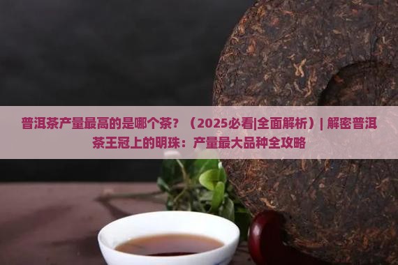 普洱茶产量最高的是哪个茶