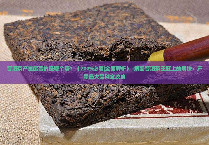 普洱茶产量最高的是哪个茶