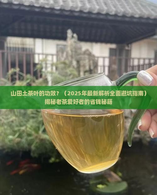 山田土茶叶的功效
