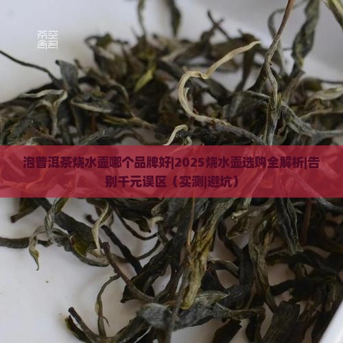 泡普洱茶烧水壶哪个品牌好