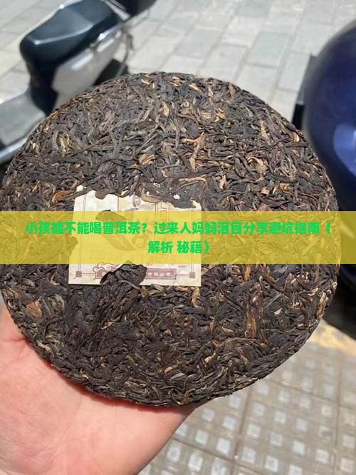 小孩能不能吃普洱茶